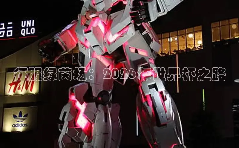 征服绿茵场：2026年世界杯之路